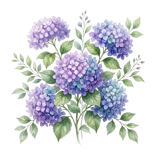 Flower Illustration
