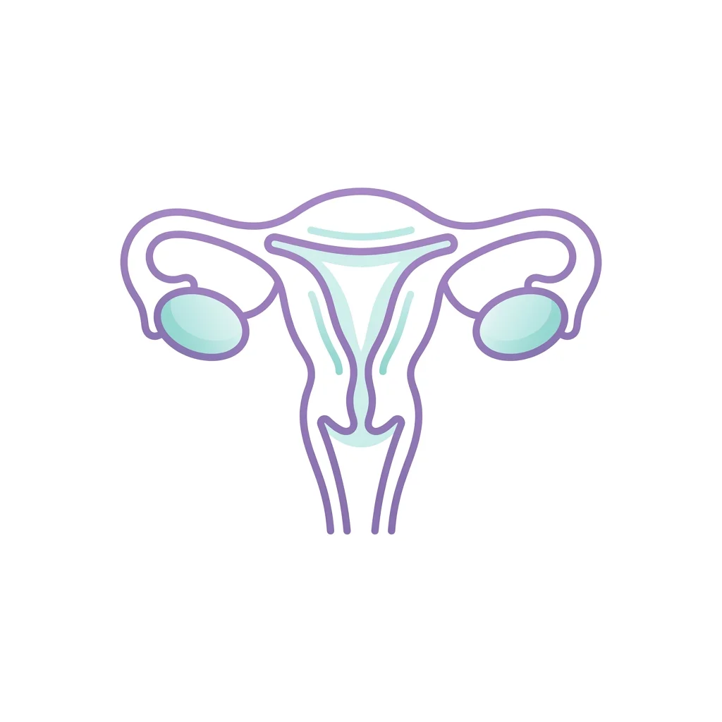 Women's Health Ultrasound