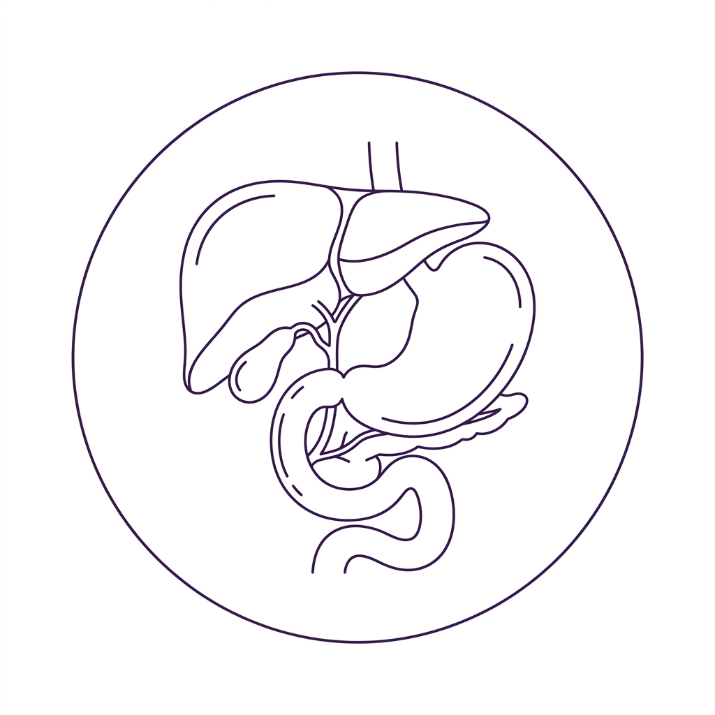 Abdominal Ultrasound