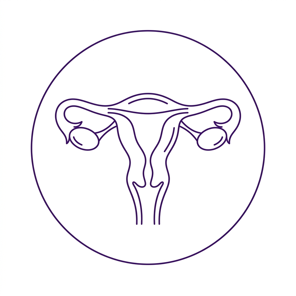 Pelvic Ultrasound
